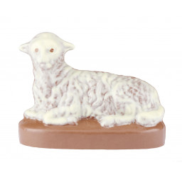 Andy 18 cm - 220g Chocolat...